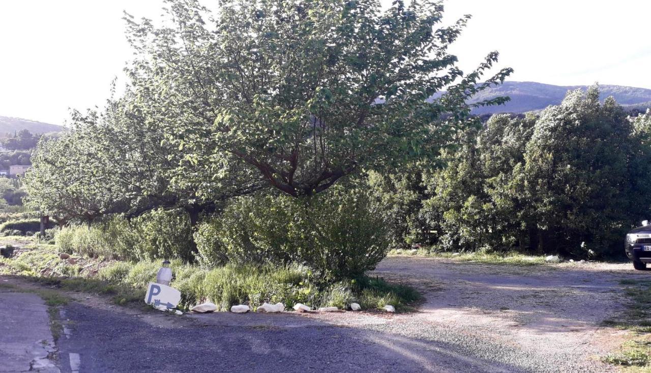 PrémianLe Moulin D'Arcas.住宿加早餐旅馆 外观 照片