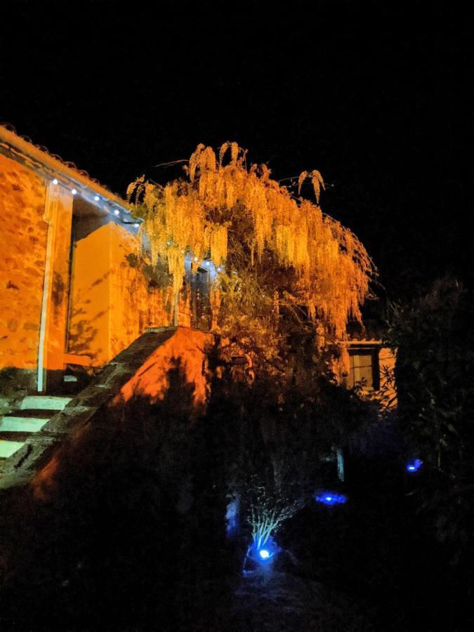 PrémianLe Moulin D'Arcas.住宿加早餐旅馆 外观 照片