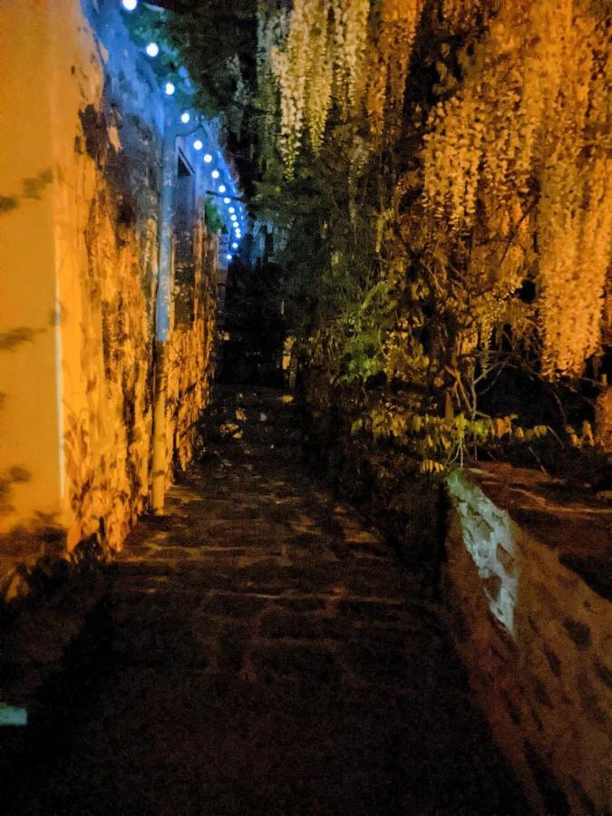 PrémianLe Moulin D'Arcas.住宿加早餐旅馆 外观 照片
